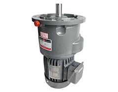 Vertical gear reducer